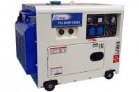 Дизельный сварочный генератор TSS DGW-200ES