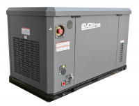 Газовый генератор EVOline GNG 19000 E