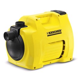 Насос поверхностный Karcher BP 2 Garden *EU